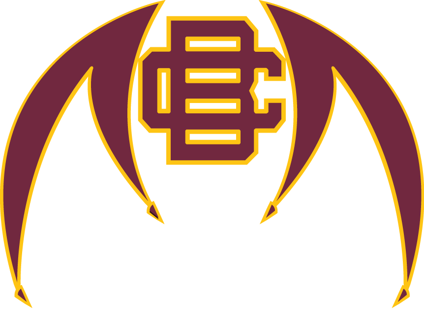 Bethune-Cookman Wildcats 2010-Pres Alternate Logo v2 iron on transfers for fabric